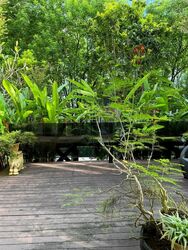 Holland Hill Park (D10), Condominium #464248731
